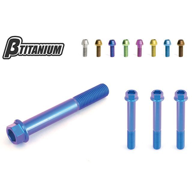 ベータチタニウム フロントキャリパーマウントボルトキット 仕様 チタンシルバー（陽極酸化なし） βTITANIUM バイクの通販は