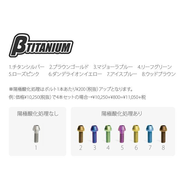 ベータチタニウム ZX-10R フロントフォークピンチボルトキット 仕様 リーフグリーン（陽極酸化あり） 頭部形状 ストレートキャップ βTIT  バイクパーツ