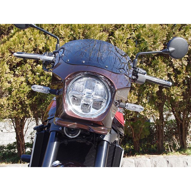 ワールドウォーク Z900RS Z900RS用ビキニカウル メタリックスパーク