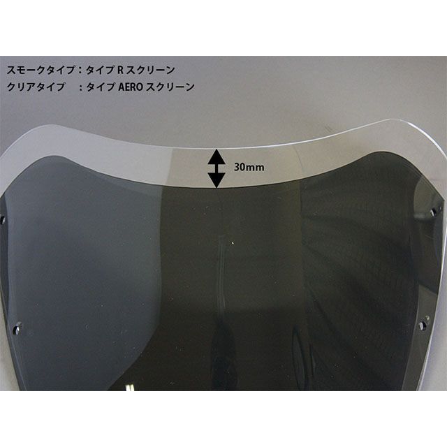 ワールドウォーク Z900RS Z900RS用ビキニカウル メタリック