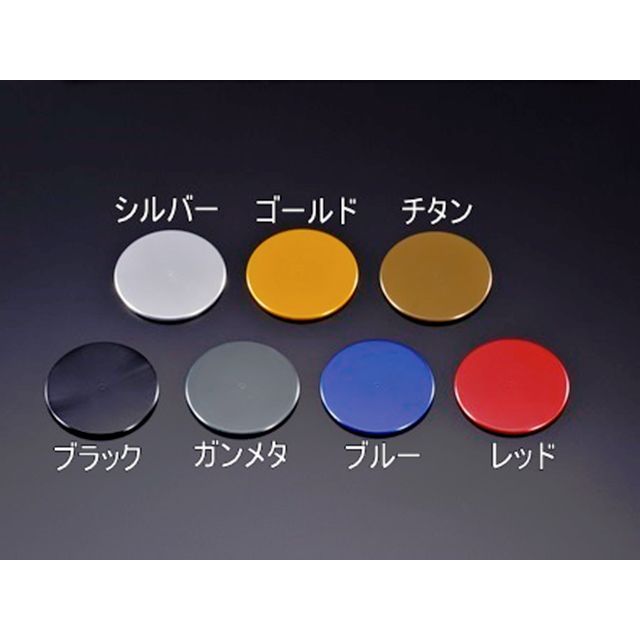 アグラス Z900RS ラジエターサイドカバー カラー ブラック AGRAS_2
