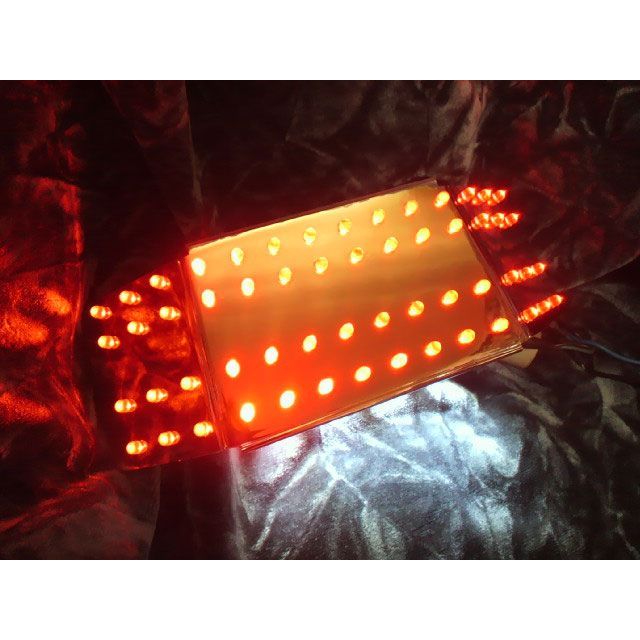 フロムネイバー CBR1000F II型 CBR1000F II型用LEDテールユニット From Neighbor