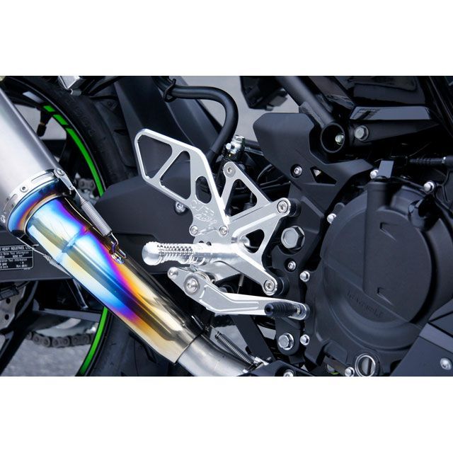 2本セット 2本セット 2022 Ninja ZX-25R / SE (2BK-ZX250E) POWERBOX FULL チタン