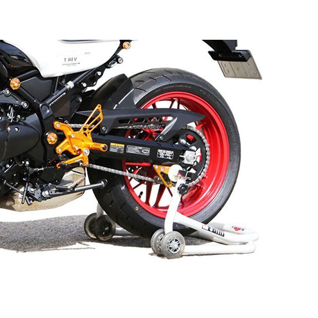 ベビーフェイス Z900RS スイングアーム・スタンドフック Vタイプ（ゴールド） BABYFACE