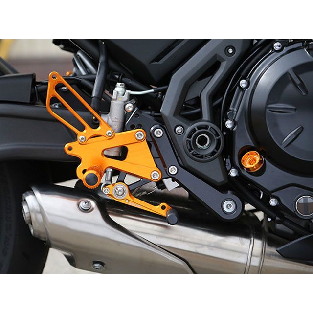 ベビーフェイス Ninja650 バックステップキット カラー ゴールド BABYFACE_1