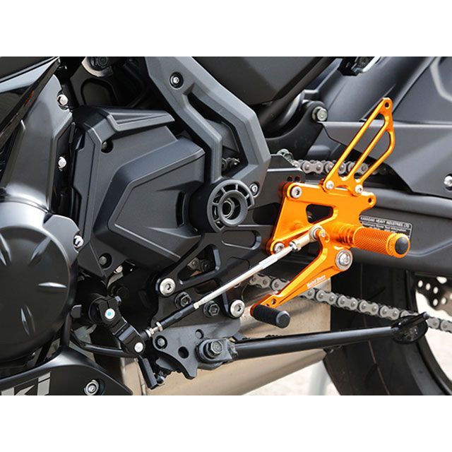 ベビーフェイス Ninja650 バックステップキット カラー ゴールド BABYFACE_2