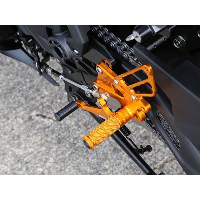 ベビーフェイス Ninja650 バックステップキット カラー ゴールド BABYFACE_3