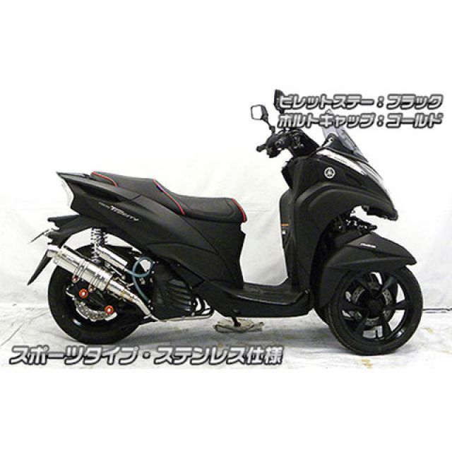 Ｆ ウイルズウィン トリシティ125 トリシティ125（2BJ-SEC1J）用