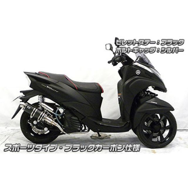 ウイルズウィン トリシティ125 トリシティ125（2BJ-SEC1J）用 アニバーサリーマフラー スポーツタイプ ブラックカーボン仕様 ビレットス…_2