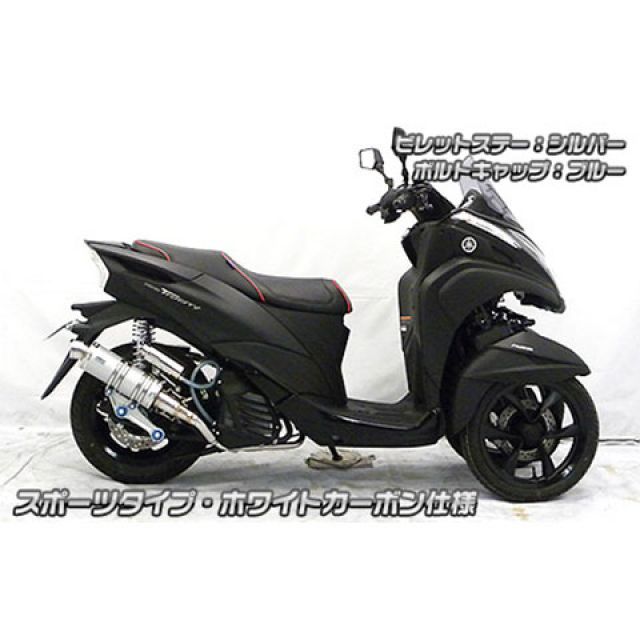 ウイルズウィン トリシティ125 トリシティ125（2BJ-SEC1J）用 アニバーサリーマフラー スポーツタイプ ホワイトカーボン仕様 ビレットス…_2