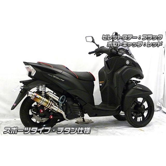 ウイルズウィン トリシティ125 トリシティ125（2BJ-SEC1J）用 アニバーサリーマフラー スポーツタイプ チタン仕様 ビレットステー シル…_3