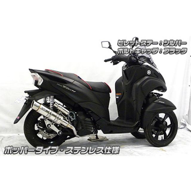 ウイルズウィン トリシティ155 トリシティ155（2BK-SG37J）用 アニバーサリーマフラー ポッパータイプ ホワイトカーボン仕様 ビレットス…_3