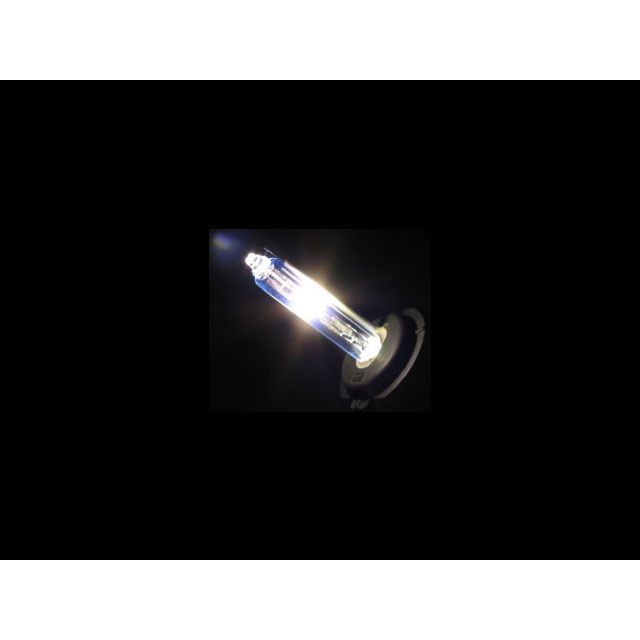 【りのるです】 アブソリュート SILVERWING400 HIDヘッドライトボルトオンキット （LO