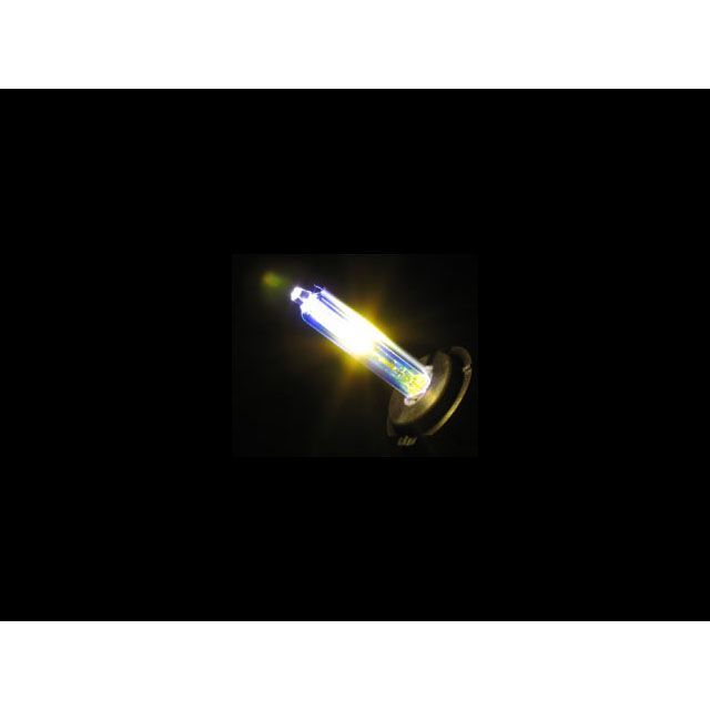 アブソリュート ZX-9R B型（2灯式プロジェクタタイプ） HID