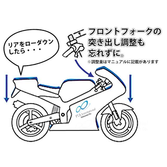 パイツマイヤー G310GS ローダウンキット 約40mmダウン Peitzmeier_2
