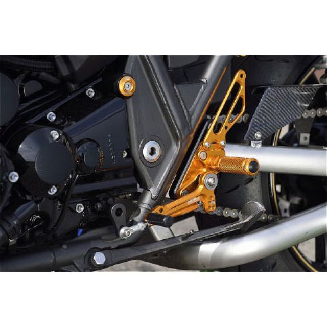 ミズ アジャスタブル レーシング パッセンジャーフットペグ ABE