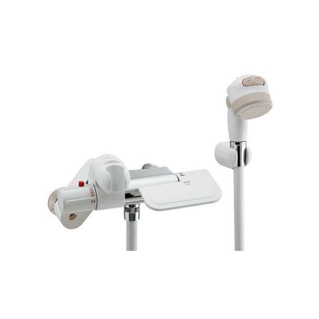 モイスティーヌ美顔器IV &洗顔セット