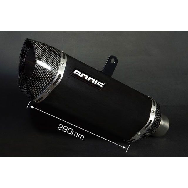 ボディス F3/BRUTALE/RIVALE/STRADALE/RR 675/800 P-TEC II 触媒リプレスメントパイプ スリップオン・ステ…