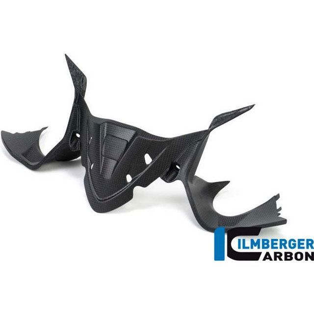 イルムバーガー Panigale 1299 Panigale 959 インストルメントカバー