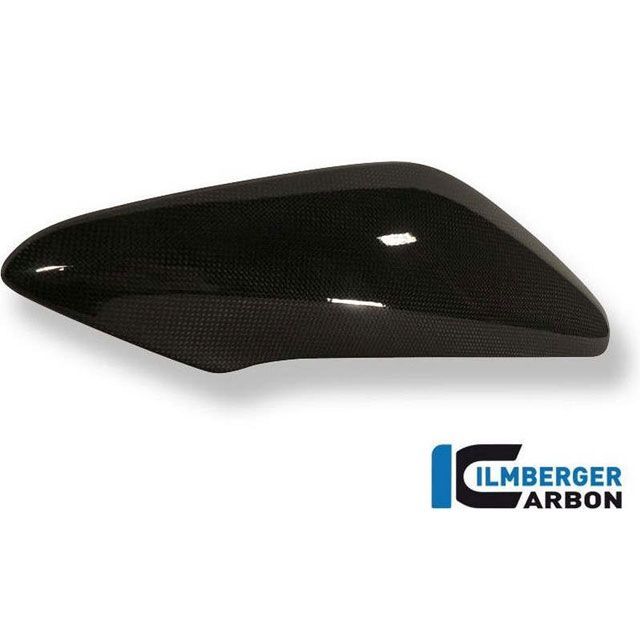 イルムバーガー Speed Triple サイドパネル （ウォータークーラー上部） （右） カーボン - Triumph Speed Triple …