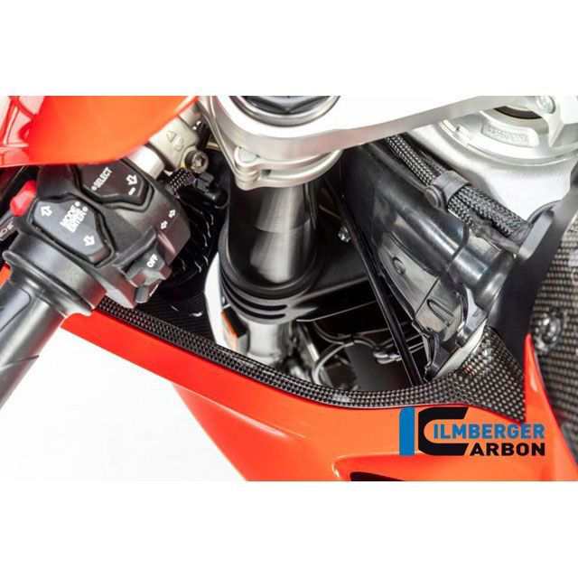 イルムバーガー Panigale V4 Panigale V4 S エアチューブカバー 左 グロス Panigale V4 / V4 S ｜ WAL…の通販は
