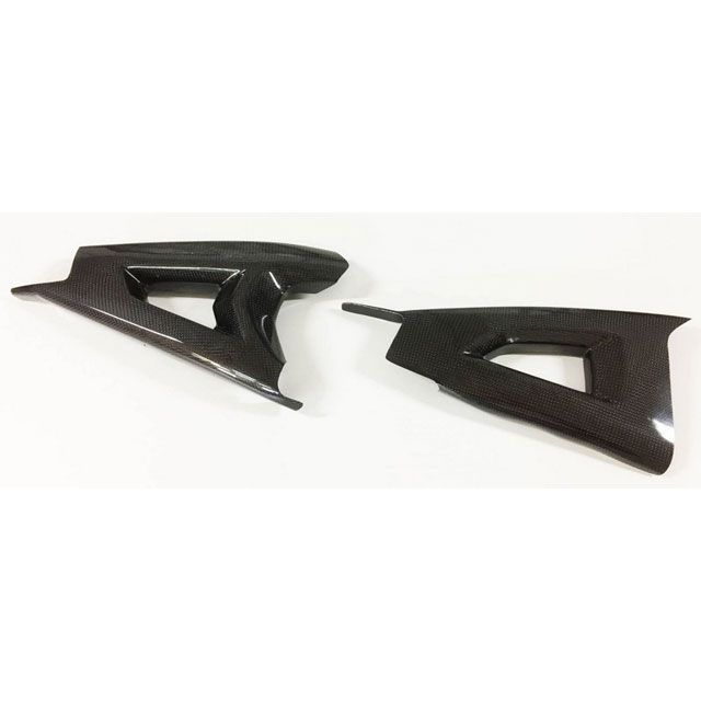 S2コンセプト ZX10R Swingarm protection KAWASAKI ZX10R 2016