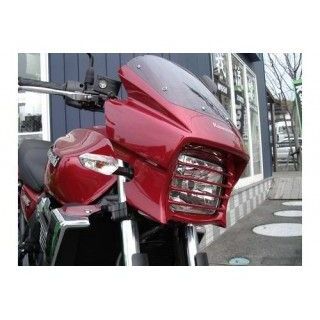 カタログ プレジャー ZRX1200DAEG ヘッドライトルーバー カラー メタリック
