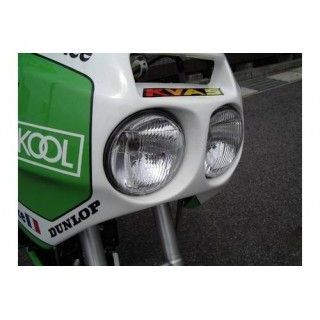 プレジャー KSR110 KR110 ENDURANCE ヘッドランプ＆テールランプ PLEASURE