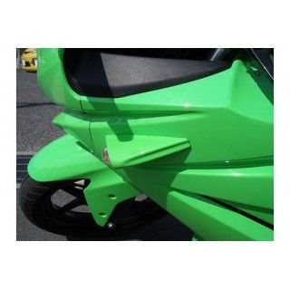 プレジャー Ninja250R Ninjya250R デルタウインカー カラー
