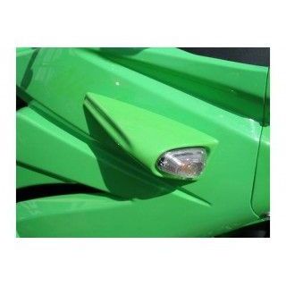 プレジャー Ninja250R Ninjya250R デルタウインカー カラー