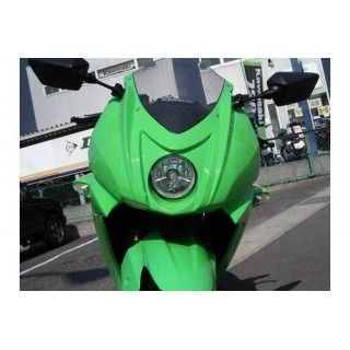 プレジャー Ninja250R Ninjya250R デルタウインカー カラー メタリックディアブロブラック PLEASURE