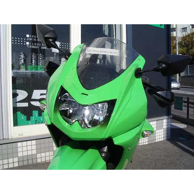 プレジャー Ninja250R Ninja250R フェイスパネル 仕様 Type1 PLEASURE バイクの通販は