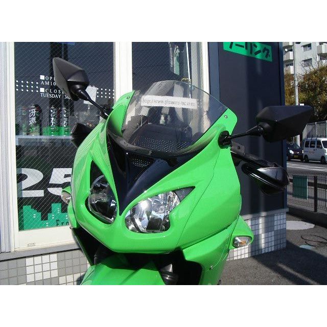 プレジャー Ninja250R Ninja250R フェイスパネル 仕様 Type2 PLEASURE