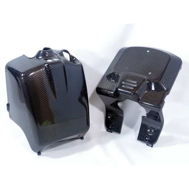 ワールドウォーク ズーマー ズーマー用 カーボン フロントボックスセット WW バイクの通販は