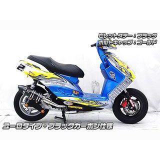 サイレンサー SCプロジェクト Kawasaki Ninja ZX-6R(636 )19-24 S1スリップ