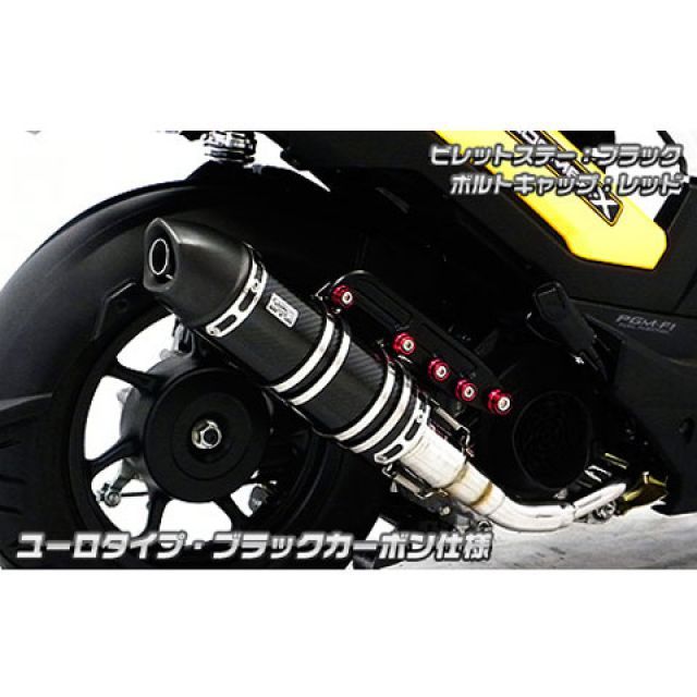 WirusWin ズーマー用 ショットマフラー ユーロタイプ オプション なし