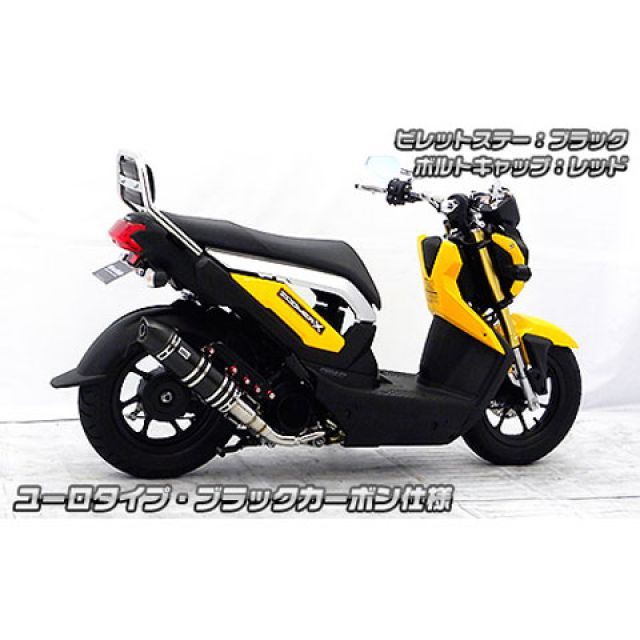 ブラック 青島文化教材社 スカイネット 1/12 カワサキ ニンジャ ZX-25R