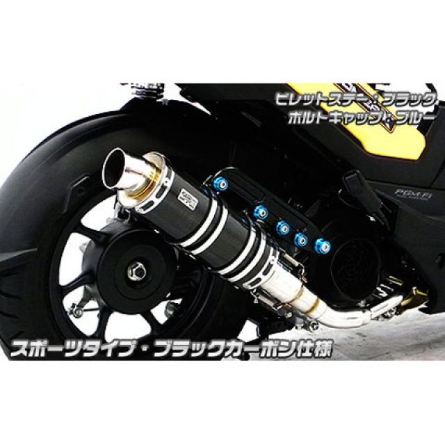 ウイルズウィン ズーマーX ズーマーX用 アニバーサリーマフラー スポーツタイプ ブラックカーボン仕様 ビレットステー シルバー ボルトキャップ ブ…