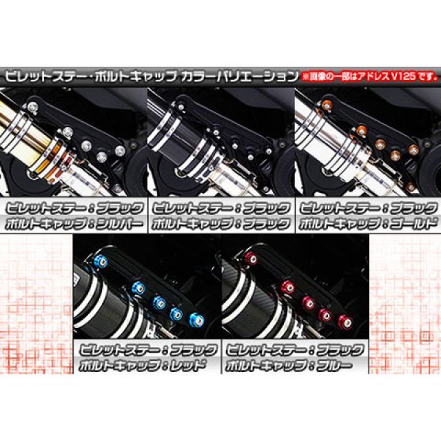 callaさん専用 モーターステージ 76ストレート EVOソフテール 仕様 クローム