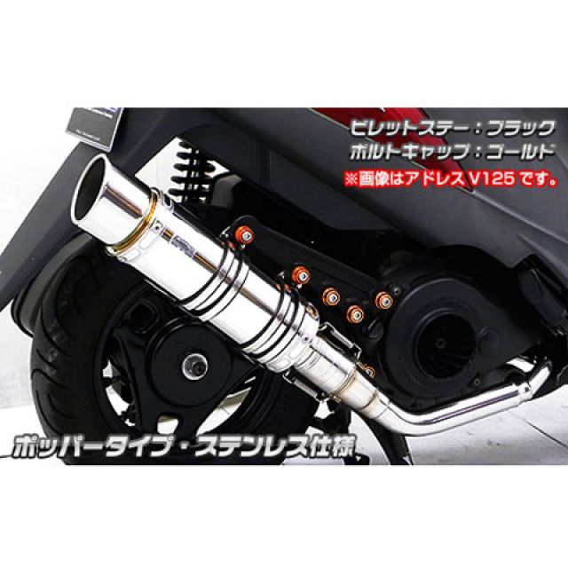 スクーピー ズーマー他用、美品ウイルズウイン マフラー ズーマー（ZOOMER）AF58 ロイヤルマフラー ユーロタイプ