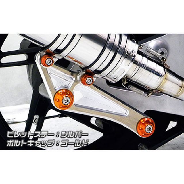 ウイルズウィン PCX150 PCX150（KF18）用 アニバーサリーマフラー