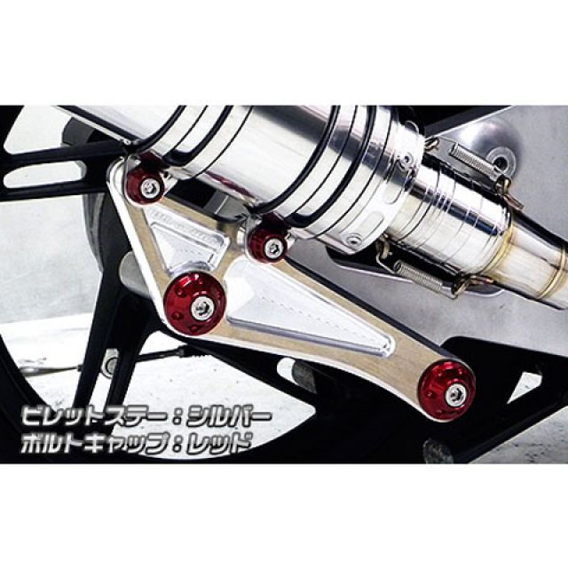 ブルー・インパルス　2枚セット ウイルズウィン PCX150 PCX150（KF18）用 アニバーサリー