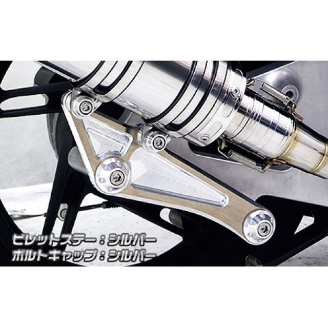 ウイルズウィン PCX150 PCX150（KF18）用 アニバーサリーマフラー