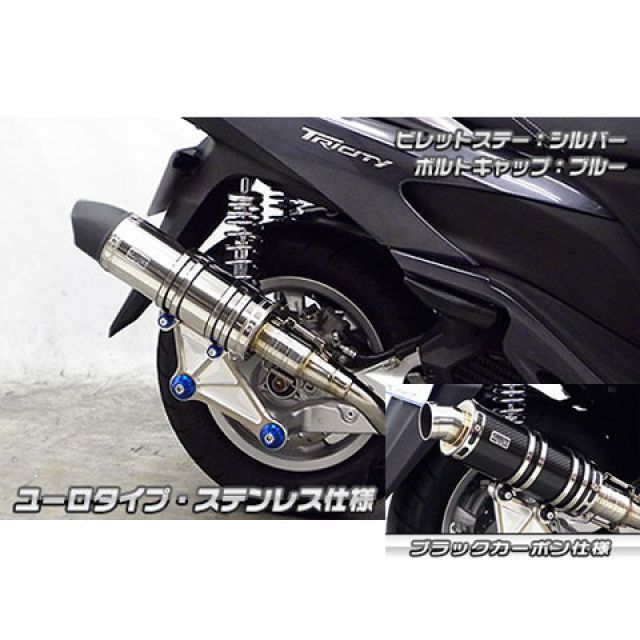 わかんない ウイルズウィン トリシティ125 トリシティ125用 アニバーサリー