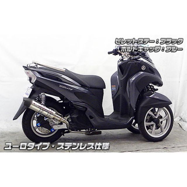 ウイルズウィン トリシティ125 トリシティ125用 アニバーサリーマフラー ユーロタイプ ブラックカーボン仕様 ビレットステー ブラック ボルトキ…