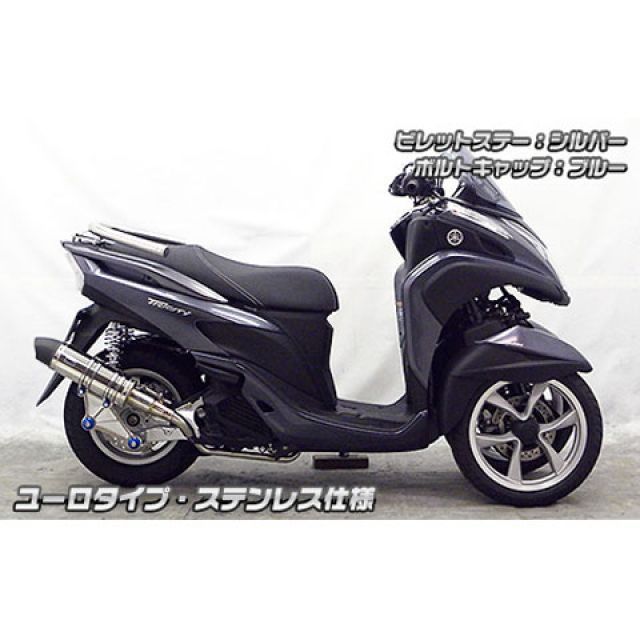 ウイルズウィン トリシティ125 トリシティ125用 アニバーサリーマフラー ユーロタイプ ホワイトカーボン仕様 ビレットステー シルバー ボルトキ…_2