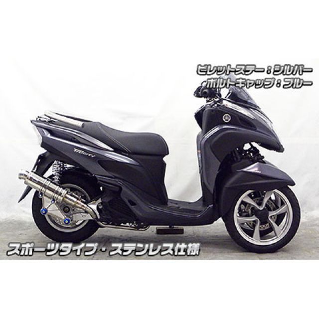 ウイルズウィン トリシティ125 トリシティ125用 アニバーサリー