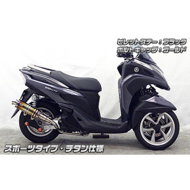 ウイルズウィン トリシティ125 トリシティ125用 アニバーサリー