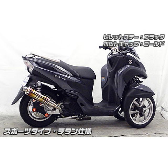 ウイルズウィン トリシティ125 トリシティ125用 アニバーサリー