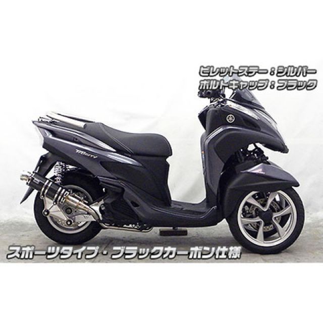 ウイルズウィン トリシティ125 トリシティ125用 アニバーサリーマフラー スポーツタイプ ブラックカーボン仕様 ビレットステー シルバー ボルト…_2